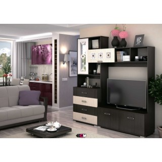 М/С ЯНА ЦЕНТРАЛЬНАЯ СЕКЦИЯ ТВ-751